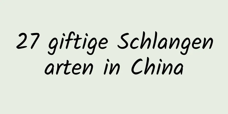 27 giftige Schlangenarten in China