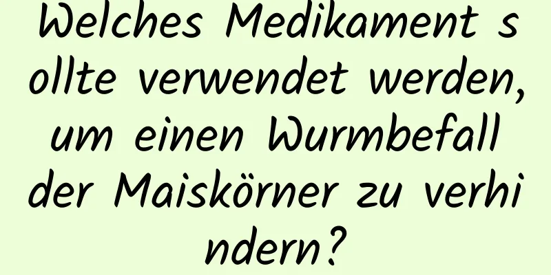 Welches Medikament sollte verwendet werden, um einen Wurmbefall der Maiskörner zu verhindern?