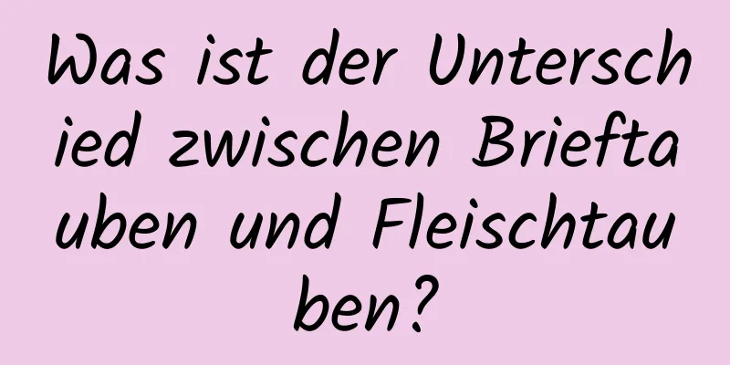 Was ist der Unterschied zwischen Brieftauben und Fleischtauben?