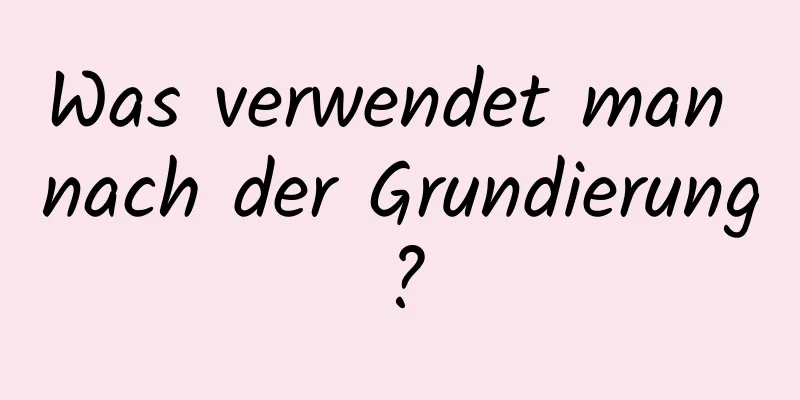 Was verwendet man nach der Grundierung?