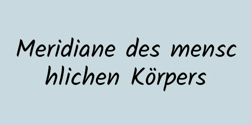 Meridiane des menschlichen Körpers