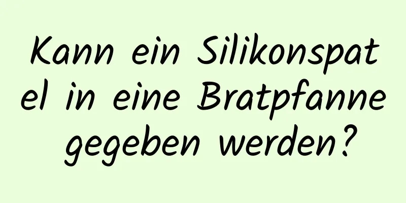 Kann ein Silikonspatel in eine Bratpfanne gegeben werden?