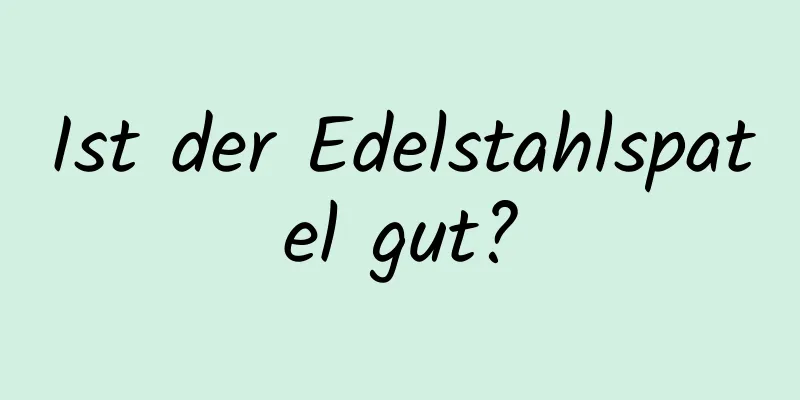 Ist der Edelstahlspatel gut?