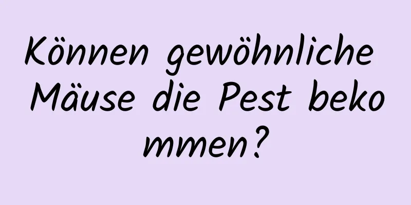 Können gewöhnliche Mäuse die Pest bekommen?