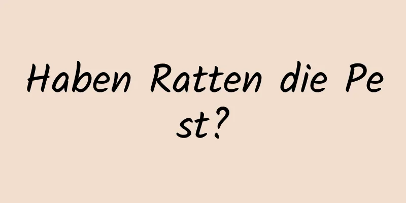 Haben Ratten die Pest?