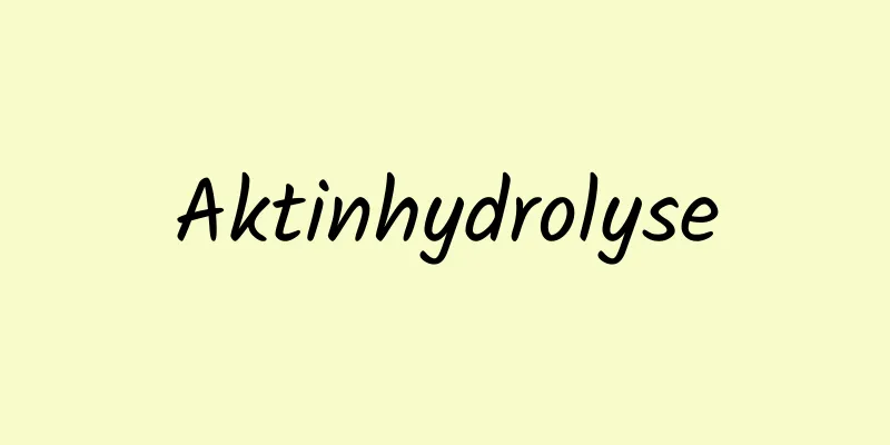 Aktinhydrolyse