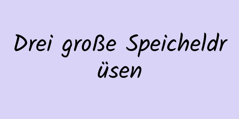 Drei große Speicheldrüsen