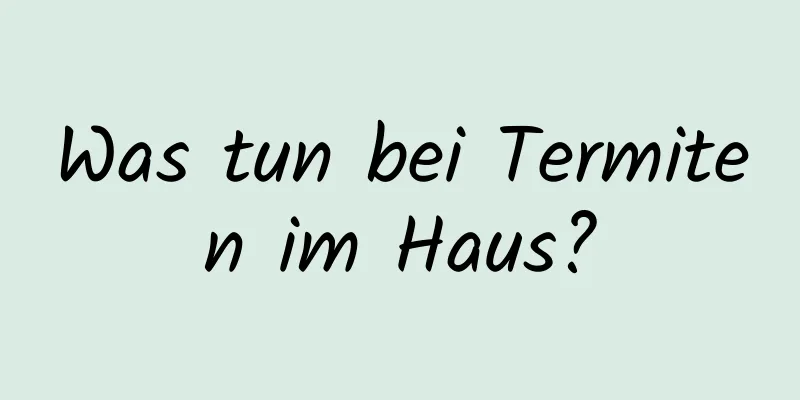Was tun bei Termiten im Haus?
