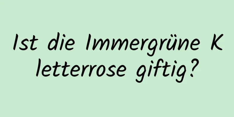 Ist die Immergrüne Kletterrose giftig?