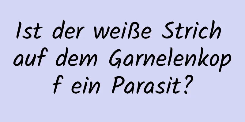 Ist der weiße Strich auf dem Garnelenkopf ein Parasit?