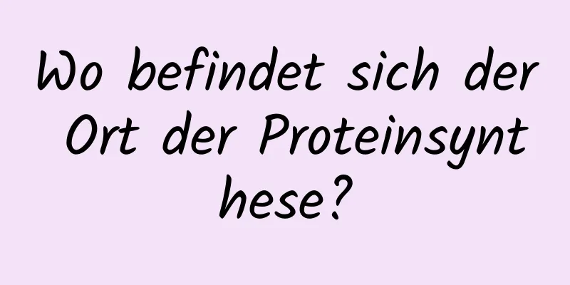 Wo befindet sich der Ort der Proteinsynthese?