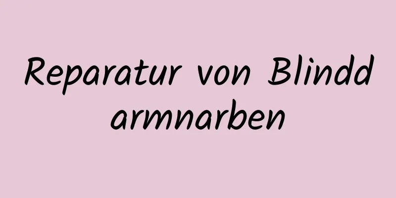 Reparatur von Blinddarmnarben