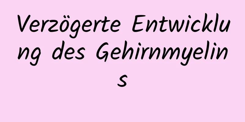 Verzögerte Entwicklung des Gehirnmyelins