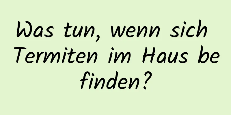 Was tun, wenn sich Termiten im Haus befinden?