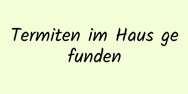 Termiten im Haus gefunden
