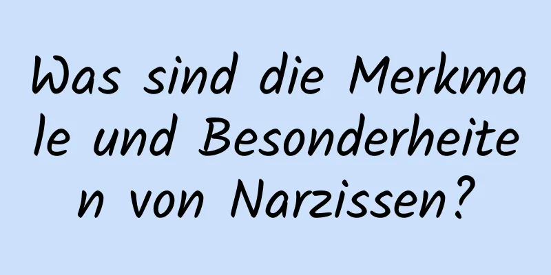 Was sind die Merkmale und Besonderheiten von Narzissen?
