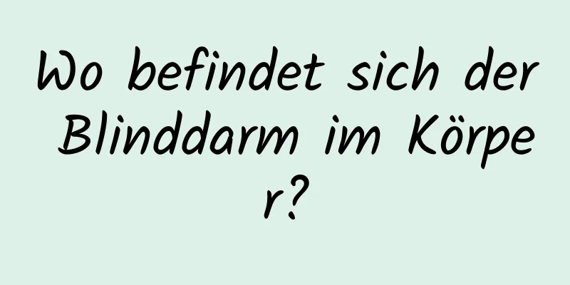 Wo befindet sich der Blinddarm im Körper?
