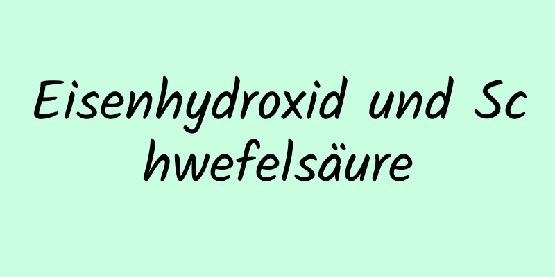 Eisenhydroxid und Schwefelsäure