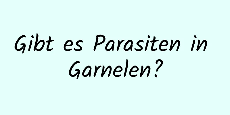 Gibt es Parasiten in Garnelen?