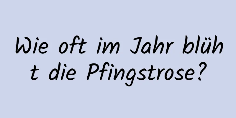 Wie oft im Jahr blüht die Pfingstrose?