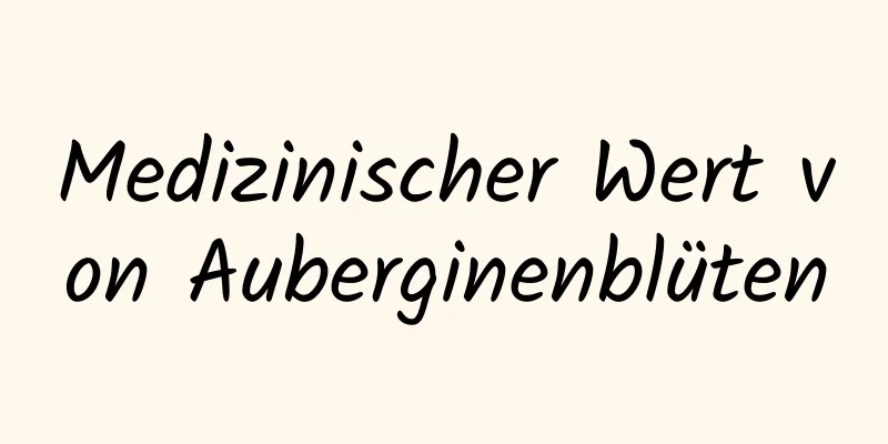 Medizinischer Wert von Auberginenblüten