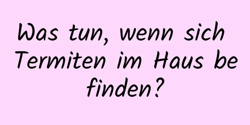 Was tun, wenn sich Termiten im Haus befinden?