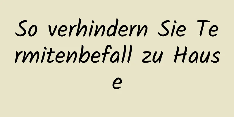 So verhindern Sie Termitenbefall zu Hause