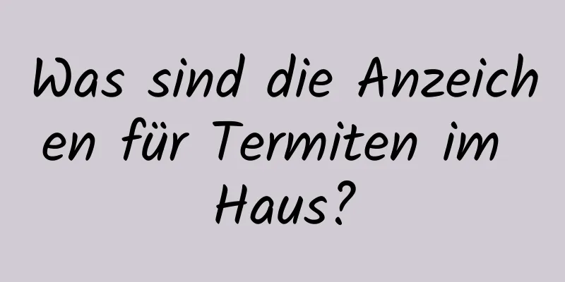 Was sind die Anzeichen für Termiten im Haus?