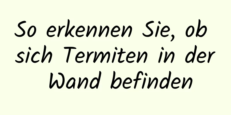 So erkennen Sie, ob sich Termiten in der Wand befinden