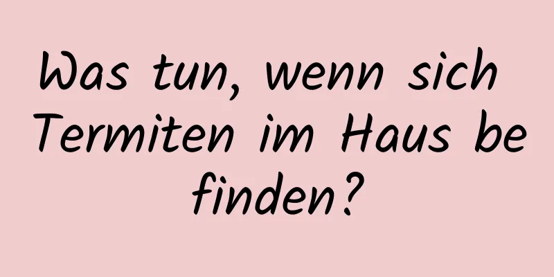 Was tun, wenn sich Termiten im Haus befinden?