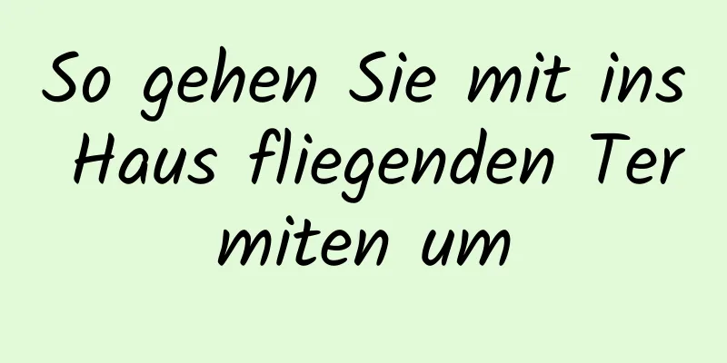 So gehen Sie mit ins Haus fliegenden Termiten um