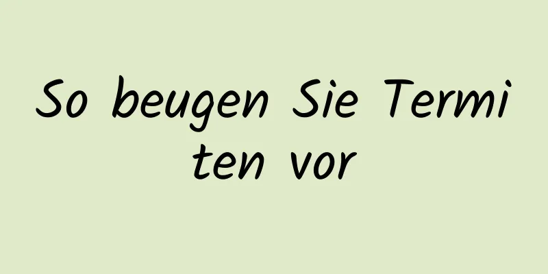 So beugen Sie Termiten vor