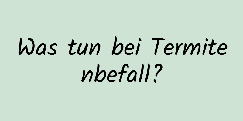 Was tun bei Termitenbefall?