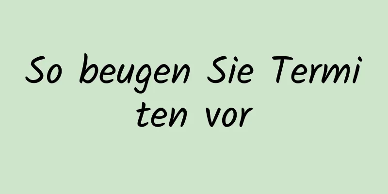 So beugen Sie Termiten vor