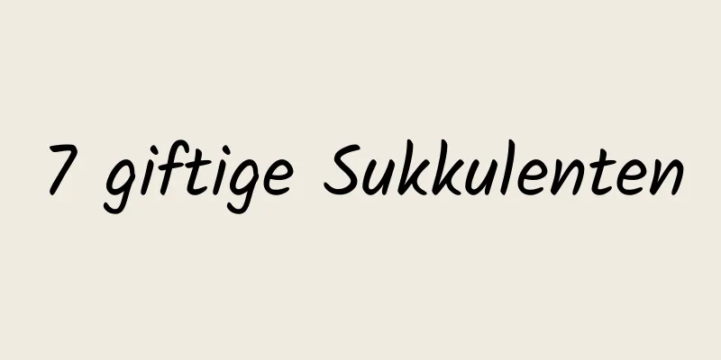 7 giftige Sukkulenten