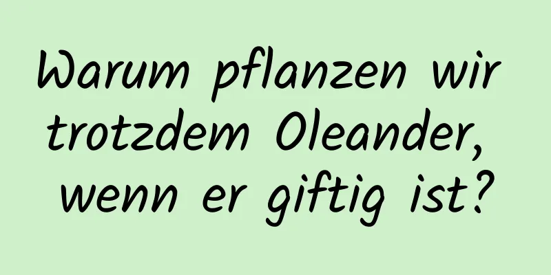 Warum pflanzen wir trotzdem Oleander, wenn er giftig ist?