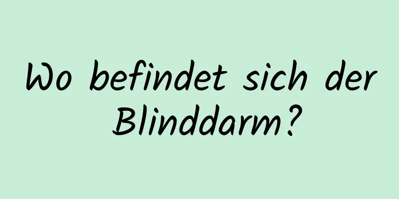 Wo befindet sich der Blinddarm?