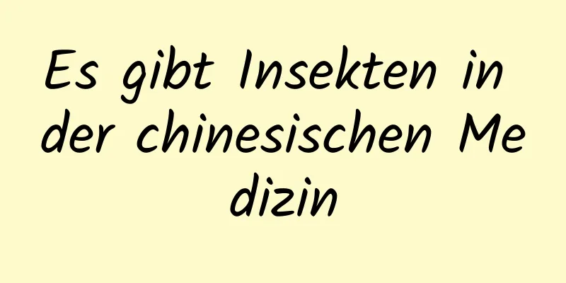 Es gibt Insekten in der chinesischen Medizin