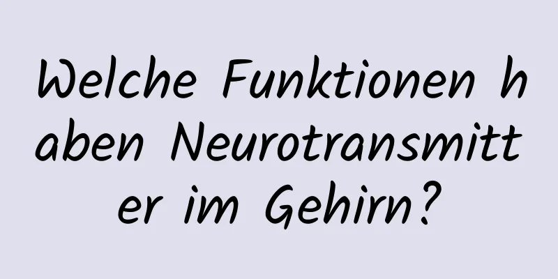 Welche Funktionen haben Neurotransmitter im Gehirn?