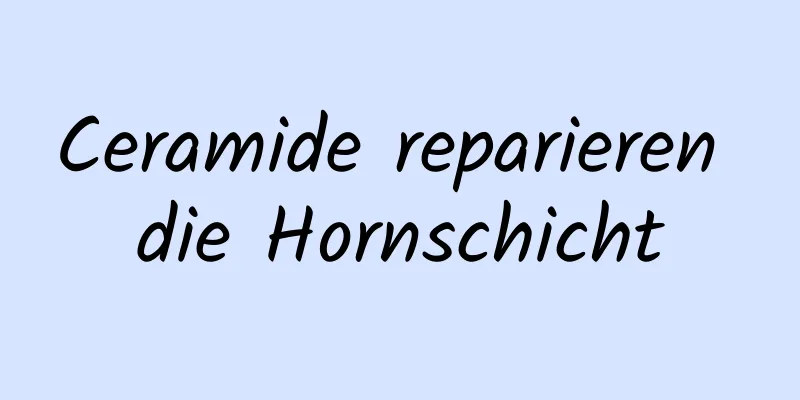 Ceramide reparieren die Hornschicht