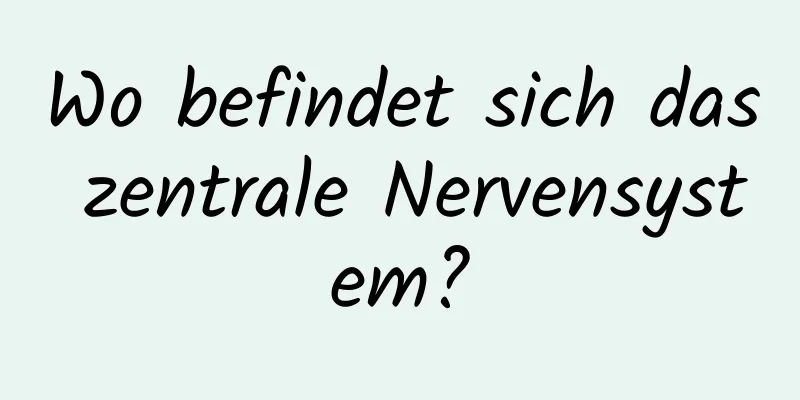 Wo befindet sich das zentrale Nervensystem?