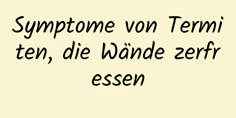 Symptome von Termiten, die Wände zerfressen