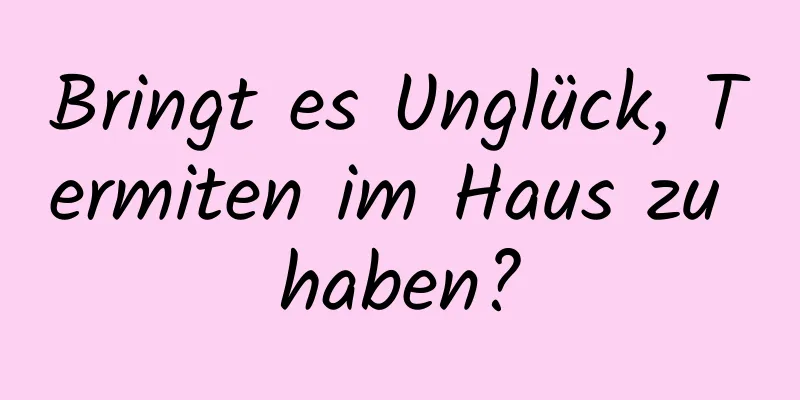 Bringt es Unglück, Termiten im Haus zu haben?