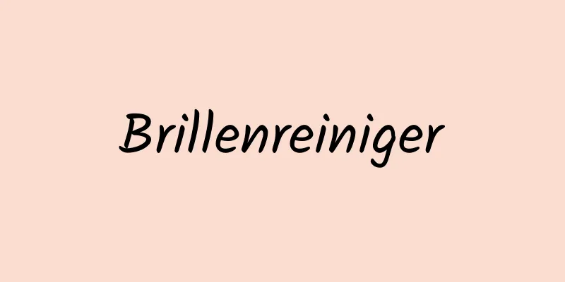 Brillenreiniger