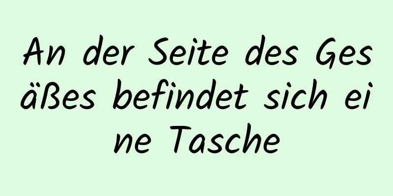 An der Seite des Gesäßes befindet sich eine Tasche