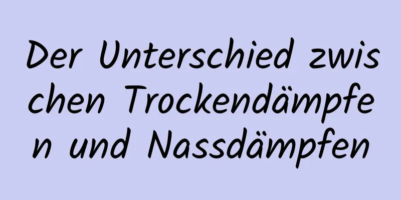 Der Unterschied zwischen Trockendämpfen und Nassdämpfen