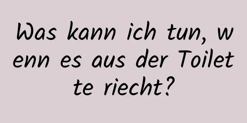 Was kann ich tun, wenn es aus der Toilette riecht?