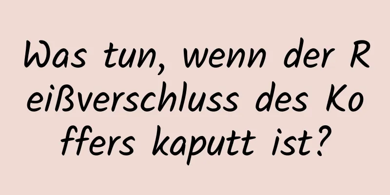 Was tun, wenn der Reißverschluss des Koffers kaputt ist?