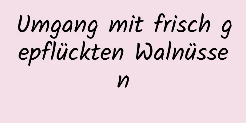 Umgang mit frisch gepflückten Walnüssen