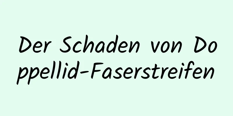 Der Schaden von Doppellid-Faserstreifen